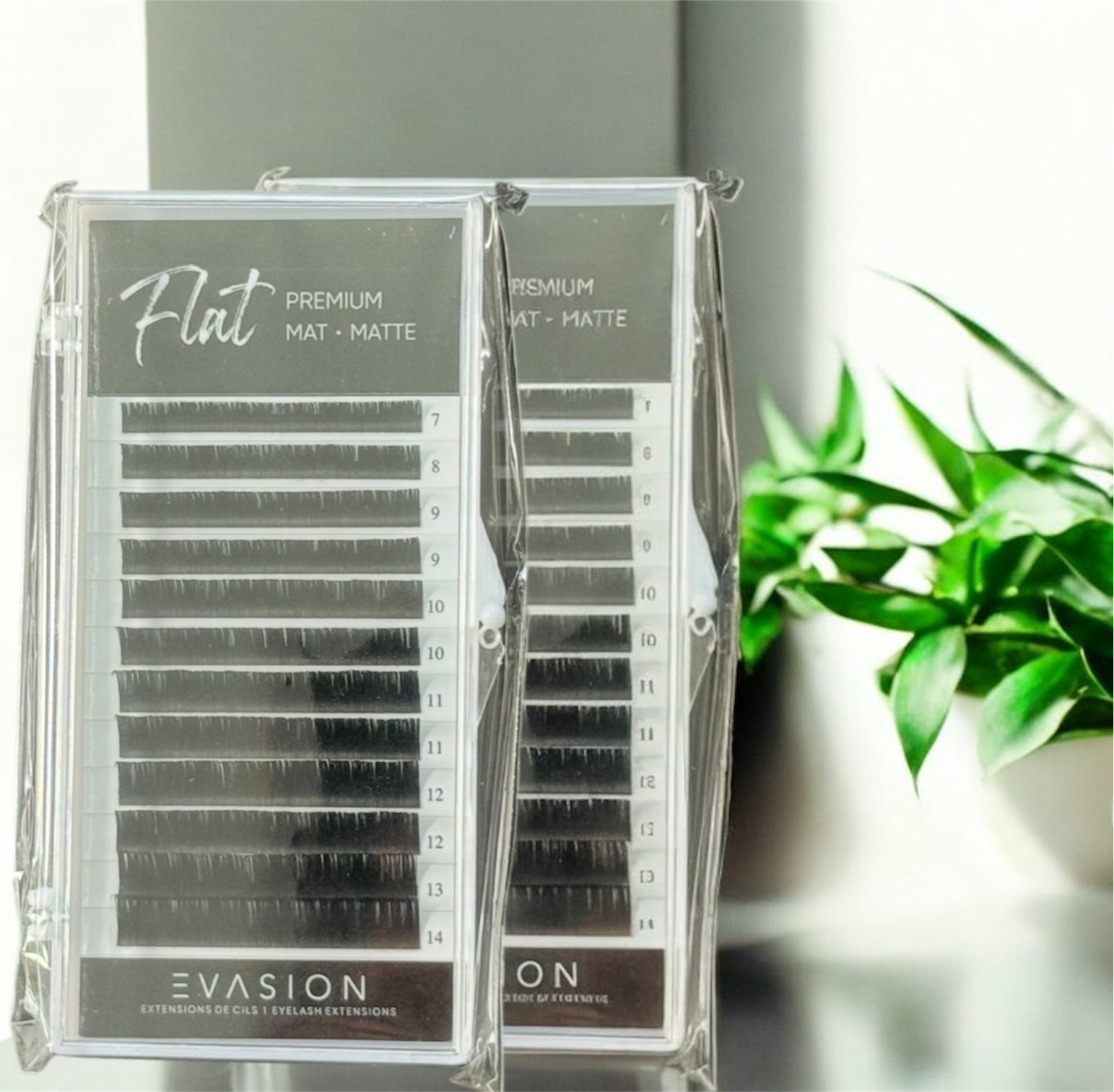 Nouveauté !!! Premium Flat Lashes 0.07